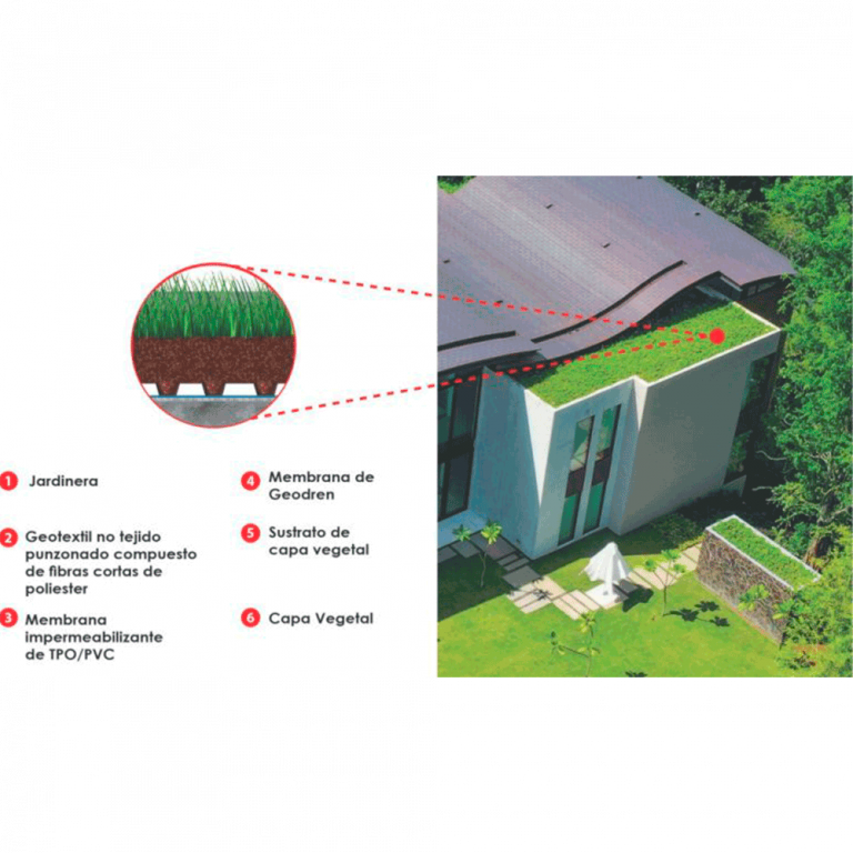 Sistemas Verdes Cubiertas Ajardinadas Y Techos Verdes 0315